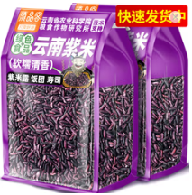 滇品客端午绿色食品云南紫米1斤新米五谷杂粮墨江紫糯米煮粥饭团紫米露